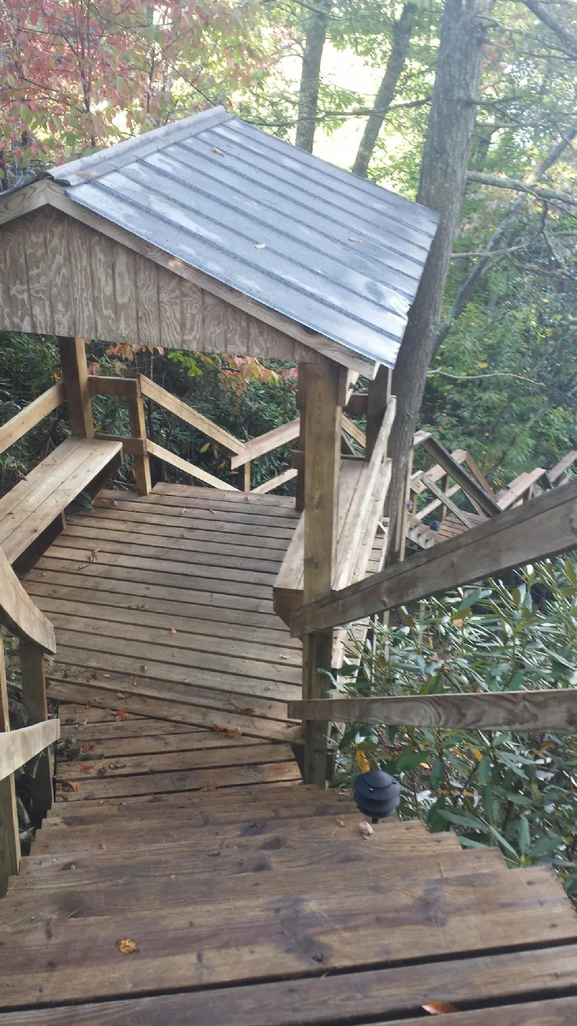Metal roofed shelter over wooden steps on a wooded walkway — Skylight Repair & Installation work by our crew in Hopkins